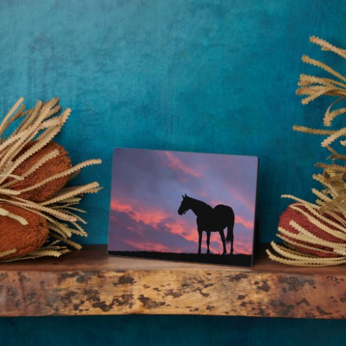 Thoroughbred Horse Silhouetted at Sunrise Plaque