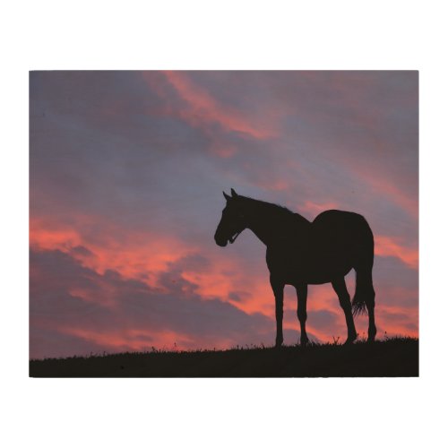 Thoroughbred Horse Silhouetted at Sunrise Wood Wall Art