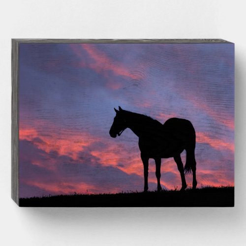 Thoroughbred Horse Silhouetted at Sunrise Wooden Box Sign