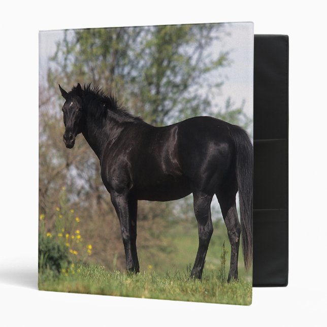 Thoroughbred Horse Standing Binder (Front/Inside)