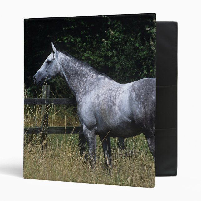 Thoroughbred Horse Standing by Fence Binder (Front/Inside)