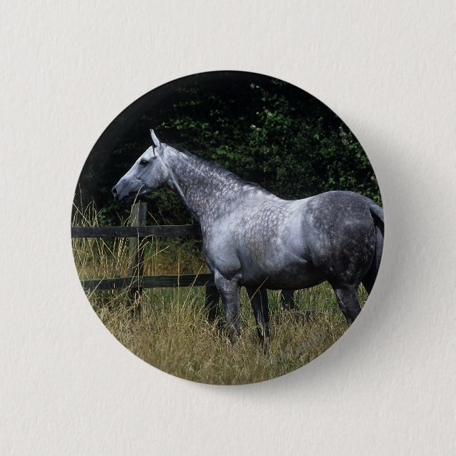 Thoroughbred Horse Standing by Fence Button (Front)
