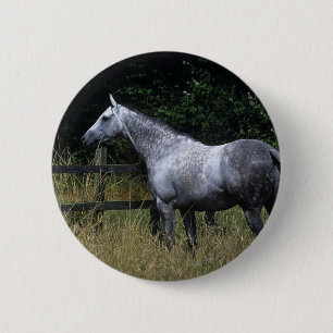 Thoroughbred Horse Standing by Fence Button