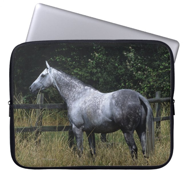 Thoroughbred Horse Standing by Fence Laptop Sleeve (Front)