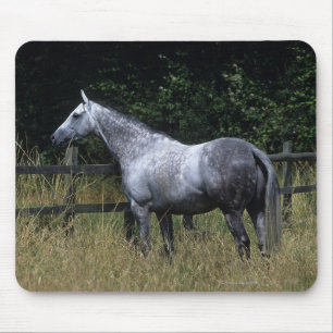 Thoroughbred Horse Standing by Fence Mouse Pad