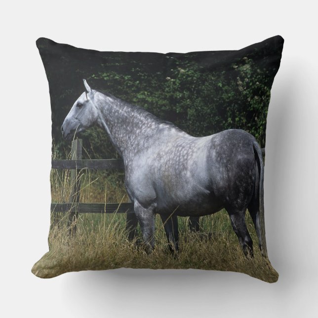 Thoroughbred Horse Standing by Fence Throw Pillow (Front)