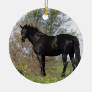 Thoroughbred Horse Standing Ceramic Ornament