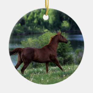 Thoroughbred Horse Standing in Flowers Ceramic Ornament