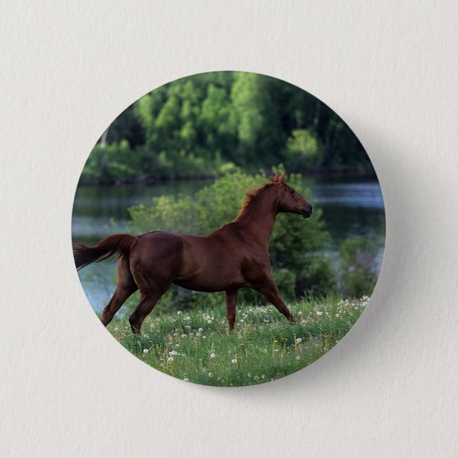 Thoroughbred Horse Standing in Flowers Pinback Button (Front)