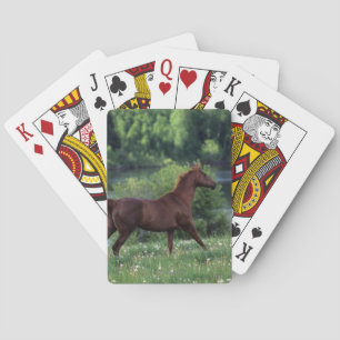 Thoroughbred Horse Standing in Flowers Poker Cards