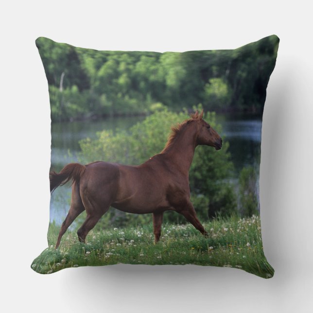 Thoroughbred Horse Standing in Flowers Throw Pillow (Front)