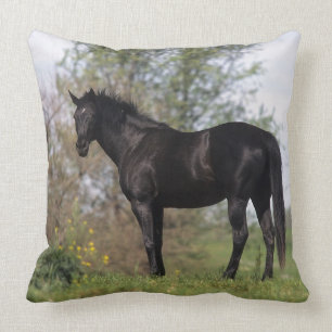 Thoroughbred Horse Standing Throw Pillow