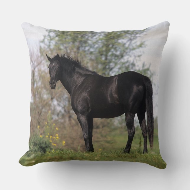 Thoroughbred Horse Standing Throw Pillow (Front)