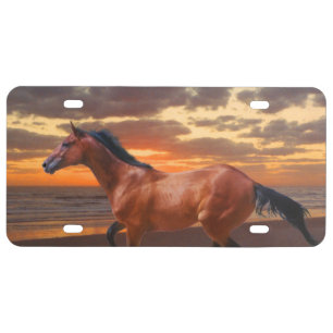Thoroughbred horse Sunrise License Plate