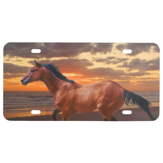Thoroughbred horse Sunrise License Plate (Front)