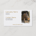 Thoroughbred Horses Business Card