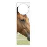 Thoroughbred Horses Door Hanger