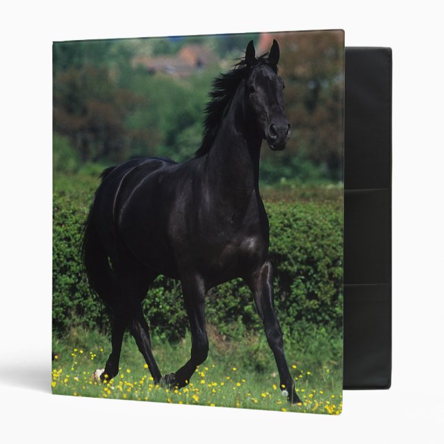Thoroughbred Horses in Flower Field Binder (Front/Inside)
