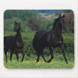 Thoroughbred Horses in Flower Field Mouse Pad