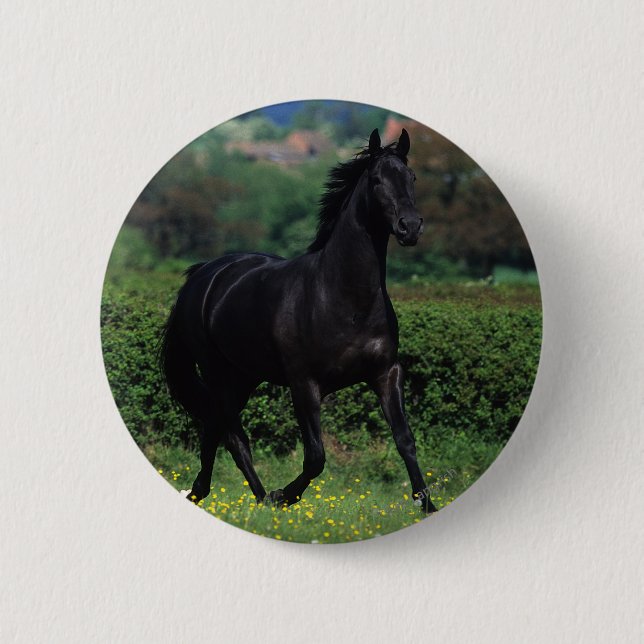 Thoroughbred Horses in Flower Field Pinback Button (Front)