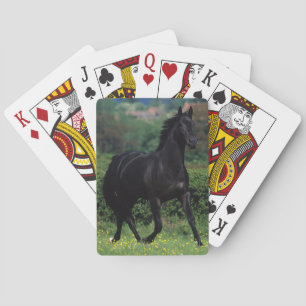 Thoroughbred Horses in Flower Field Poker Cards