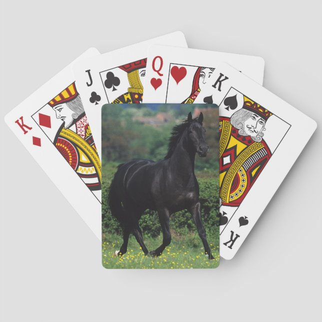 Thoroughbred Horses in Flower Field Poker Cards (Back)