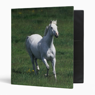 Thoroughbred Mare 3 Ring Binder