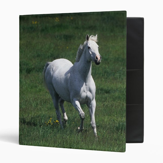 Thoroughbred Mare 3 Ring Binder (Front/Inside)