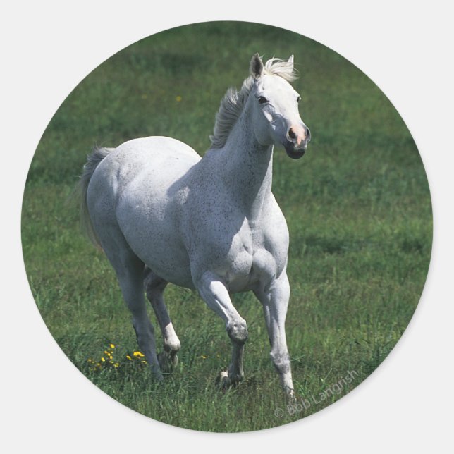 Thoroughbred Mare Classic Round Sticker (Front)
