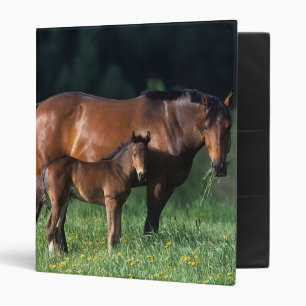 Thoroughbred Mare & Foal 1 3 Ring Binder