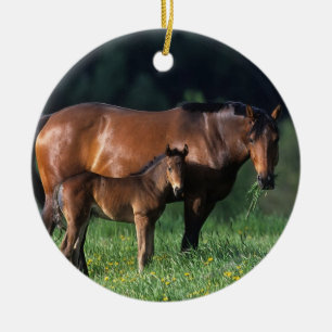 Thoroughbred Mare & Foal 1 Ceramic Ornament