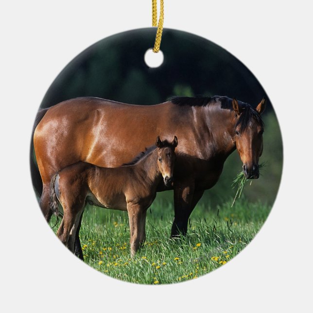 Thoroughbred Mare & Foal 1 Ceramic Ornament (Front)