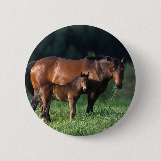 Thoroughbred Mare & Foal 1 Pinback Button (Front)