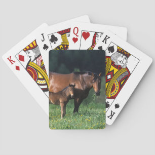 Thoroughbred Mare & Foal 1 Poker Cards