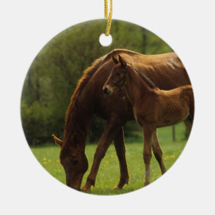 Thoroughbred Mare & Foal 2 Ceramic Ornament