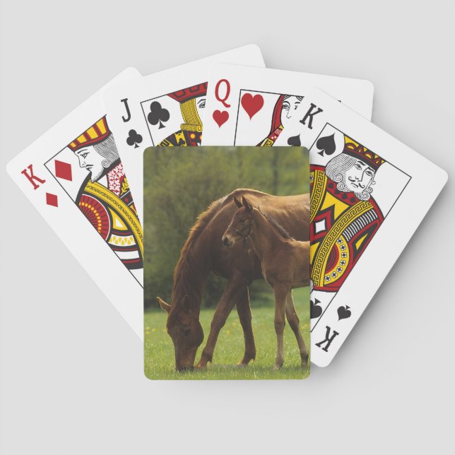 Thoroughbred Mare & Foal 2 Poker Cards (Back)