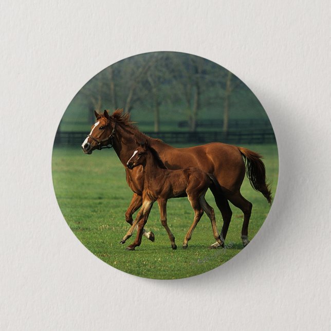 Thoroughbred Mare & Foal 3 Button (Front)