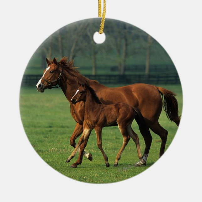 Thoroughbred Mare & Foal 3 Ceramic Ornament (Front)