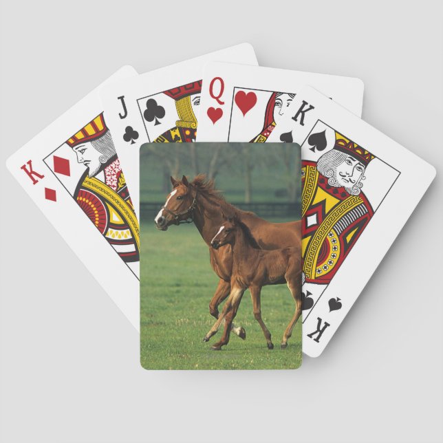 Thoroughbred Mare & Foal 3 Poker Cards (Back)
