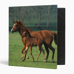 Thoroughbred Mare & Foal 3 Ring Binder