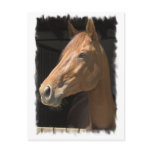 Thoroughbred Postcard
