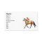 Thoroughbred Race Horse Business Card