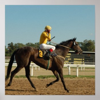 Thoroughbred Race Horse Poster Print by HorseStall at Zazzle