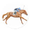 Thoroughbred Racehorse Sticker