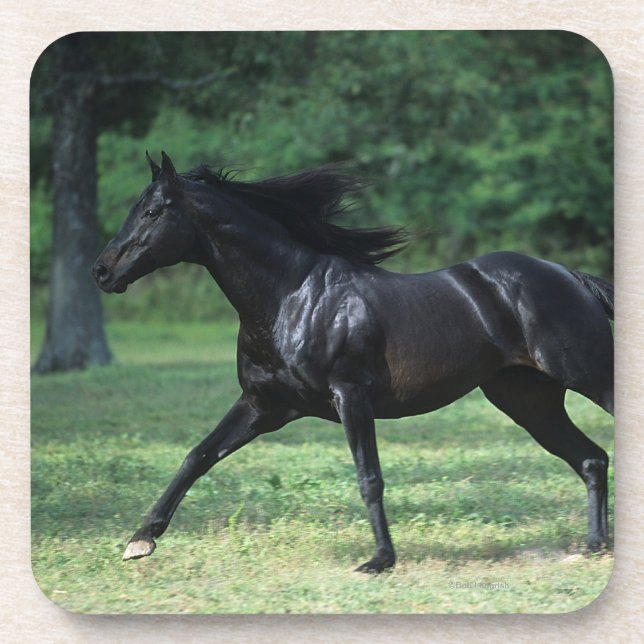 Thoroughbred Running Beverage Coaster (Front)