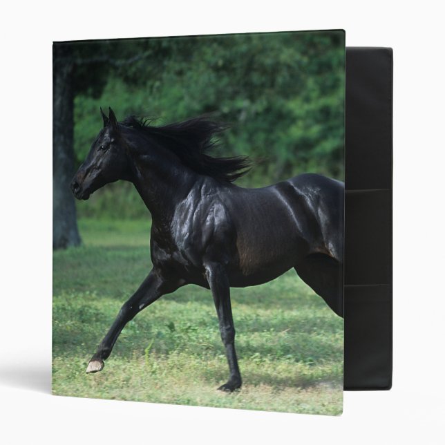 Thoroughbred Running Binder (Front/Inside)