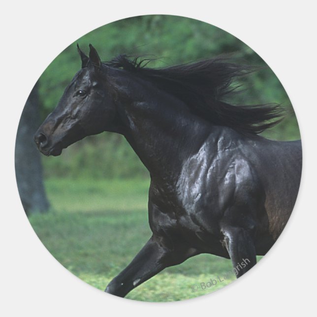 Thoroughbred Running Classic Round Sticker (Front)