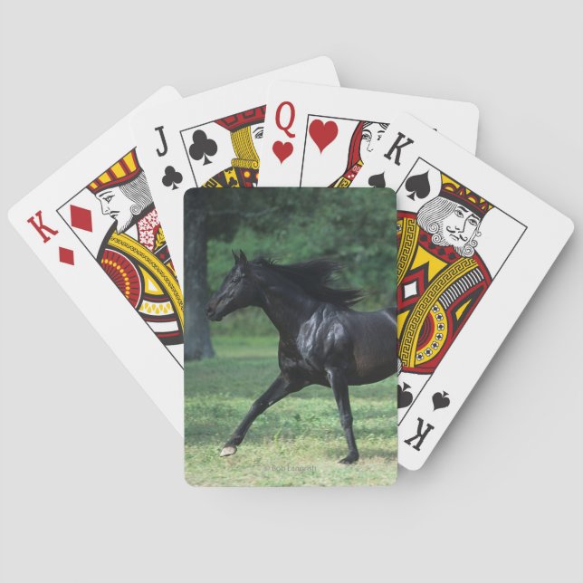 Thoroughbred Running Poker Cards (Back)