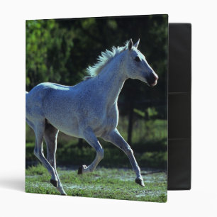 Thoroughbred Stallion Running 3 Ring Binder