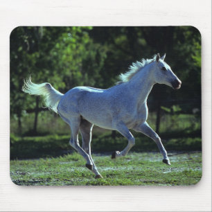 Thoroughbred Stallion Running Mouse Pad